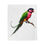 Thumbnail: Colorful parrot perched on branch