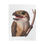 Thumbnail: Plush Blanket, Frogmouth Bird Velveteen