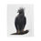 Thumbnail: Plush Blanket - Harpy Eagle Design