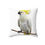 Thumbnail: Sulphur-crested Cockatoo pillow
