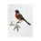 Thumbnail:  Velveteen Blanket - Variegated Colorful Bunting
