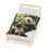 Thumbnail: Adorable panda eating bamboo on a bedsheet