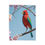 Thumbnail: Vibrant red bird perched on a blossoming branch