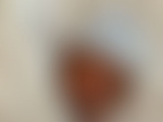 V Ľubovni narátali vyše tisíc pôrodov. Z iných okresov bolo 40 percent mamičiek!