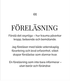 01föreläsning.png