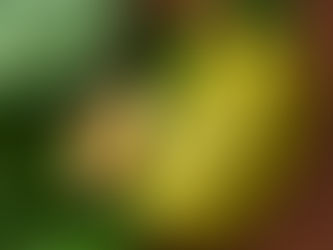 Potassium and Your Health: A Simple Guide for Healthy Aging