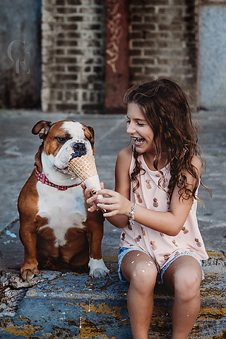 Roxy Ice Cream 2