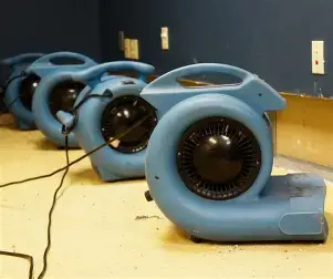 Multiple Dri Eaz Air Movers.webp
