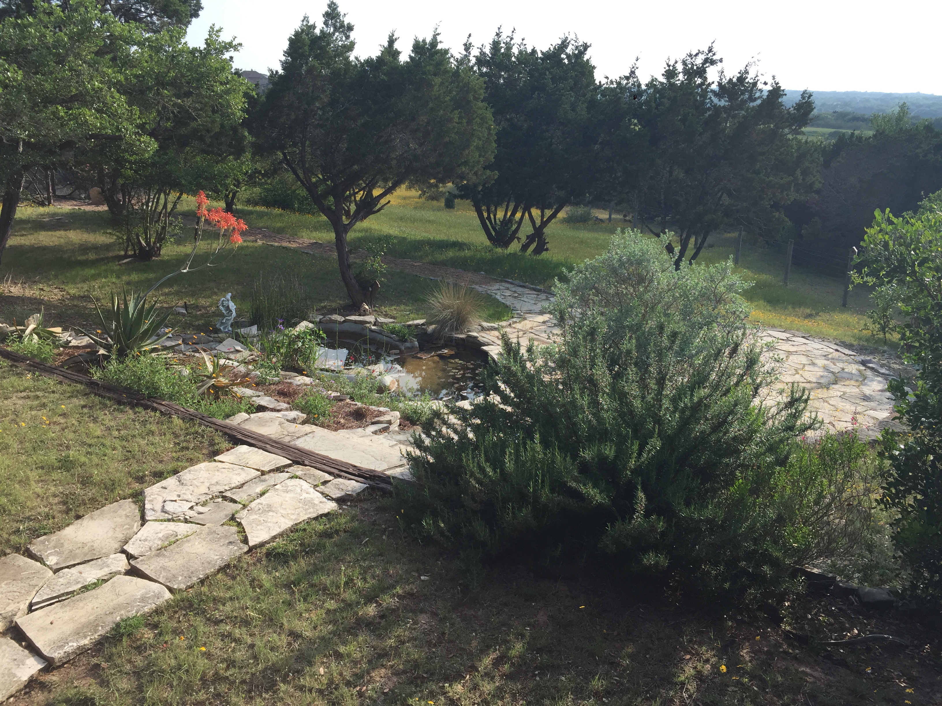 Hill Country Beauty