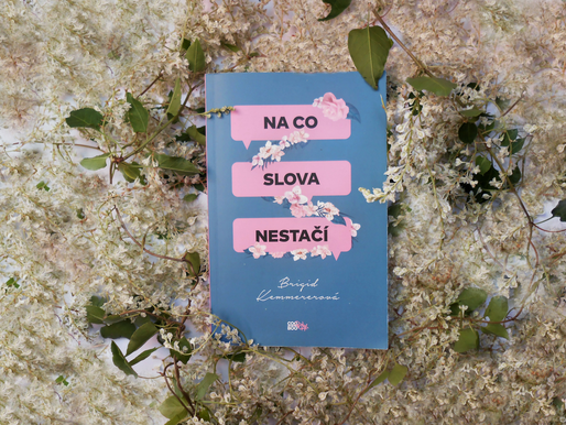 Recenze: Na co slova nestačí