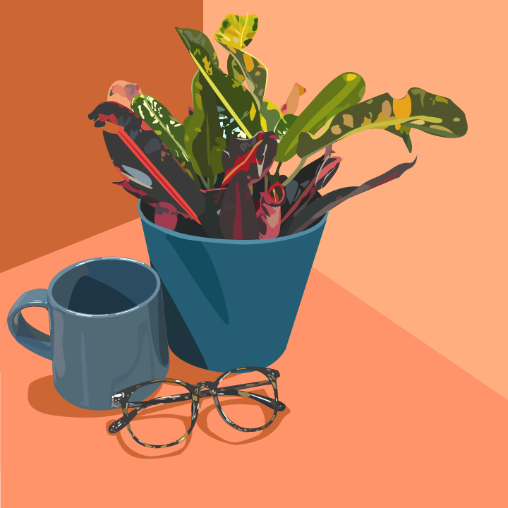 Vector Still Life
