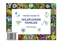 洋書 How to Study Wild Flowers How to study wild flowers : Henslow, George, 1835-1925
