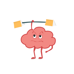 Brain