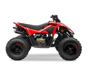 "Quadriciclo CFMOTO CFORCE 110 LV - A melhor opção de entrada infantil com qualidade e segurança