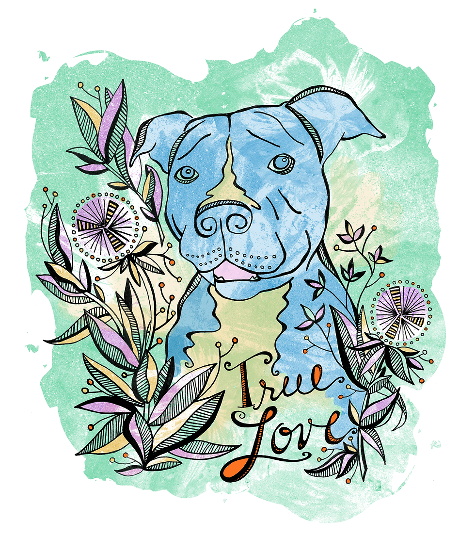 True Love Pitt Bull