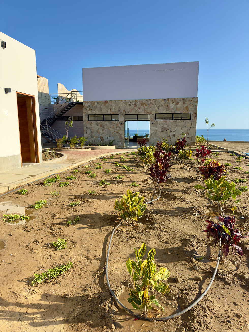 Jardineria