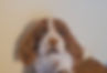 20230514_185812_edited.jpg