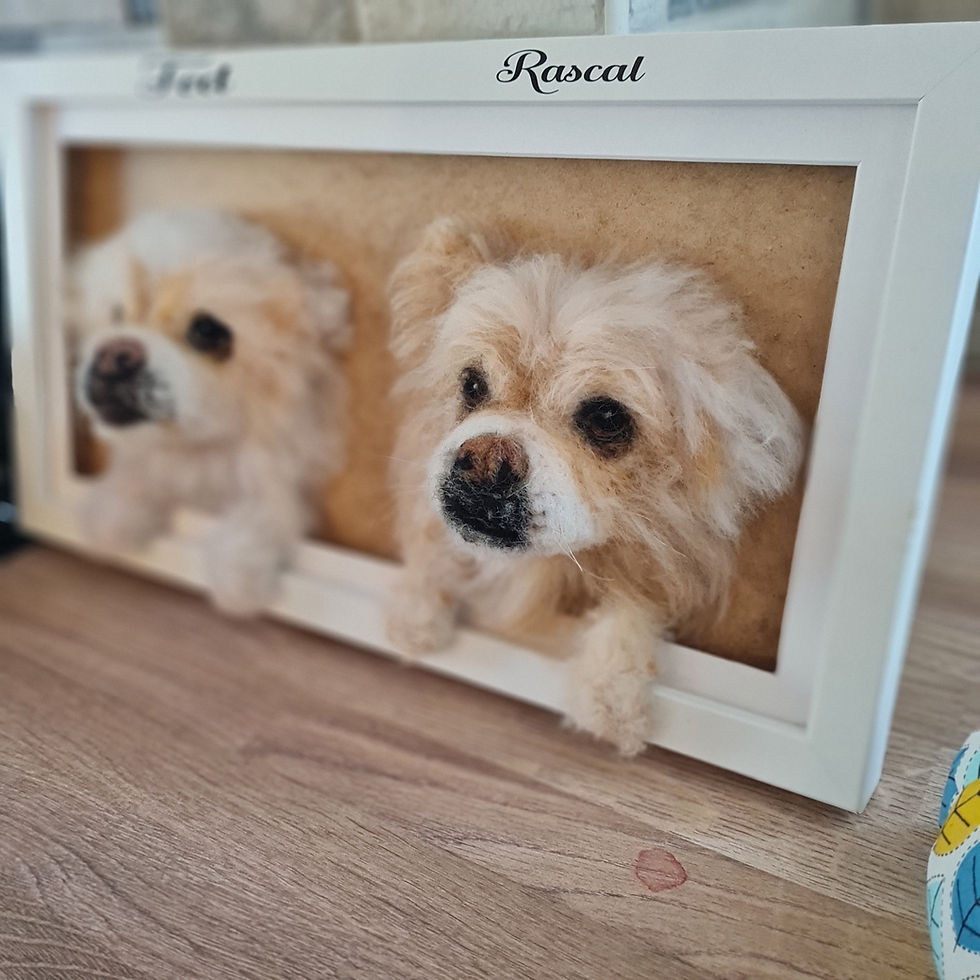 Thumbnail: Double 3D Framed Pet Portraits