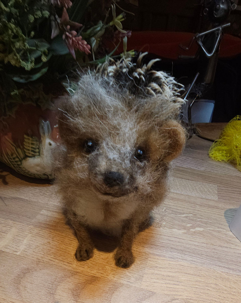 Thumbnail: Mr Pickles - Hedgehog 