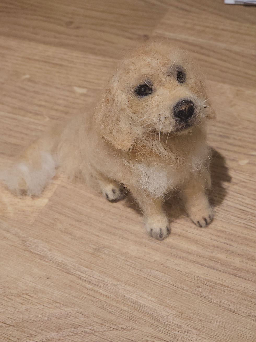 Thumbnail: Miniature Golden Retriever ✨️ 