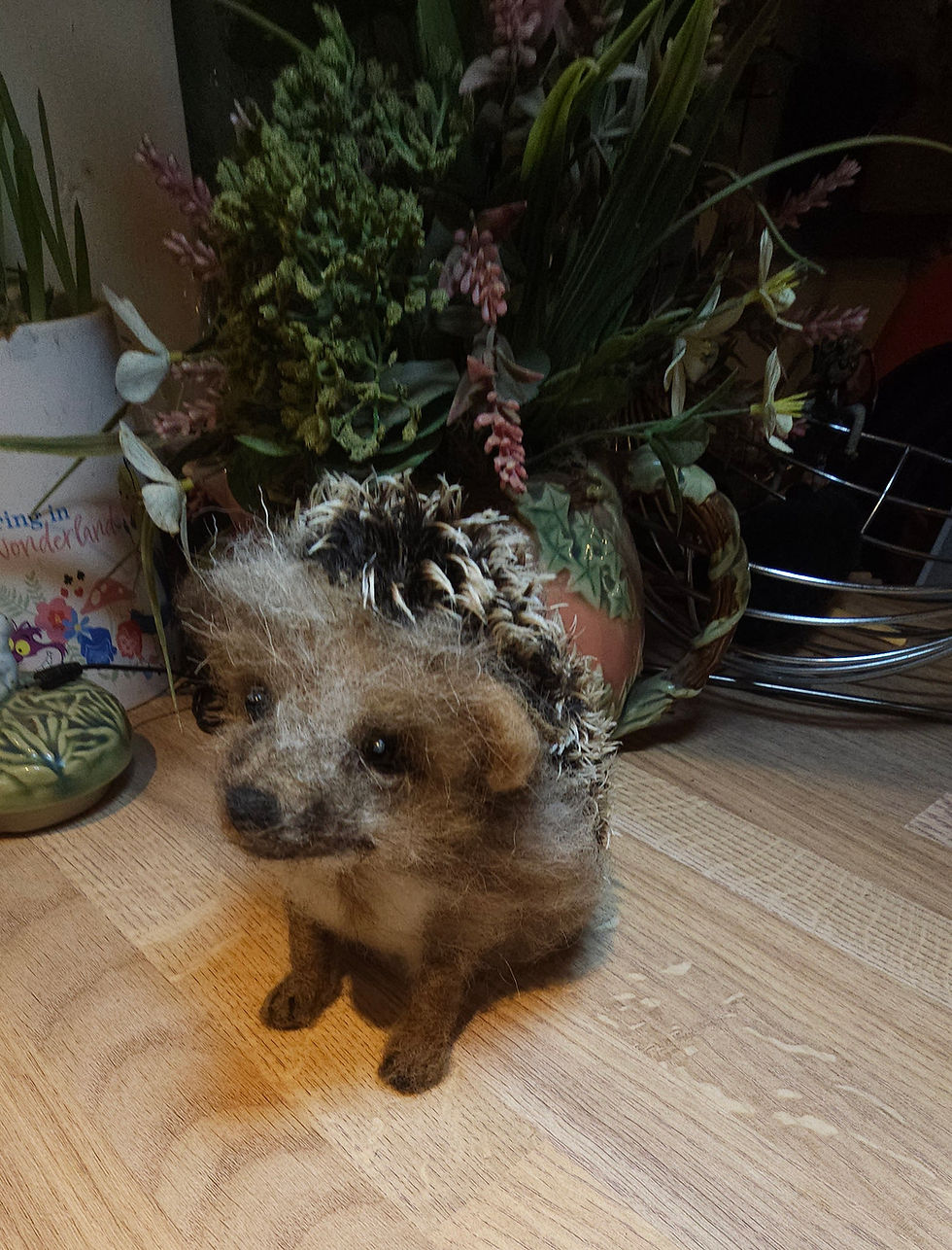 Thumbnail: Mr Pickles - Hedgehog 