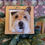 Thumbnail: Small 3D Framed Pet Portraits