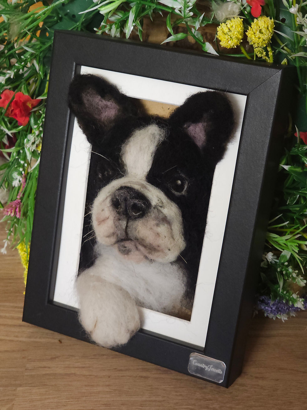 Thumbnail: French Bulldog Portrait 🐾 