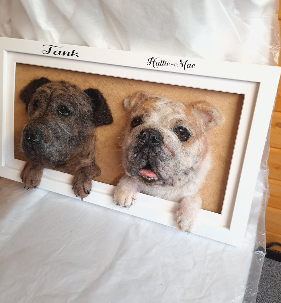 Thumbnail: Double 3D Framed Pet Portraits