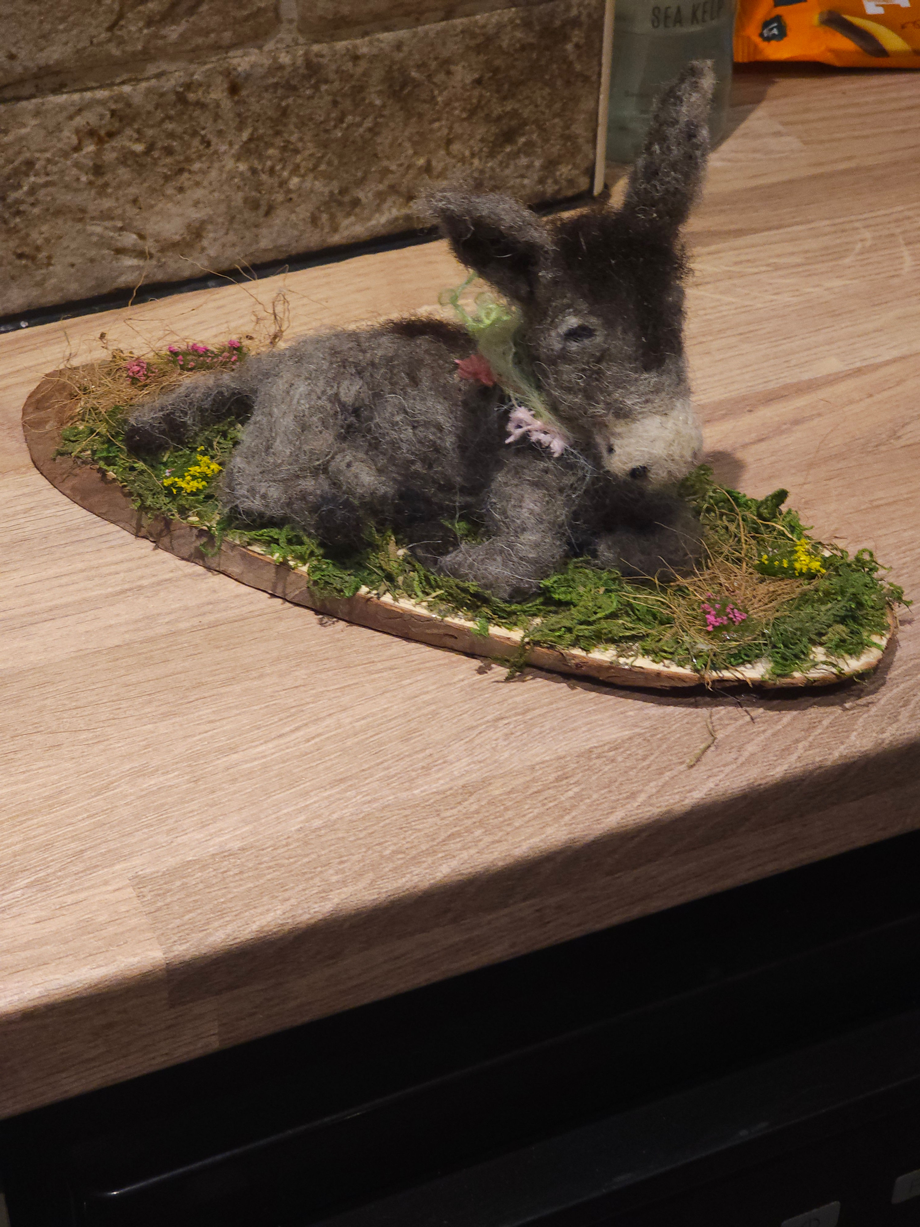 Spring Meadows Daisy 🫏 