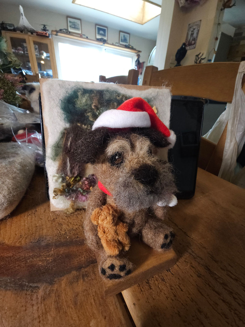 Snouts & Snuggles Boston Terrier 🐾 🧸