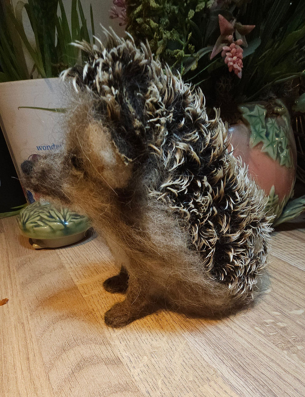 Thumbnail: Mr Pickles - Hedgehog 