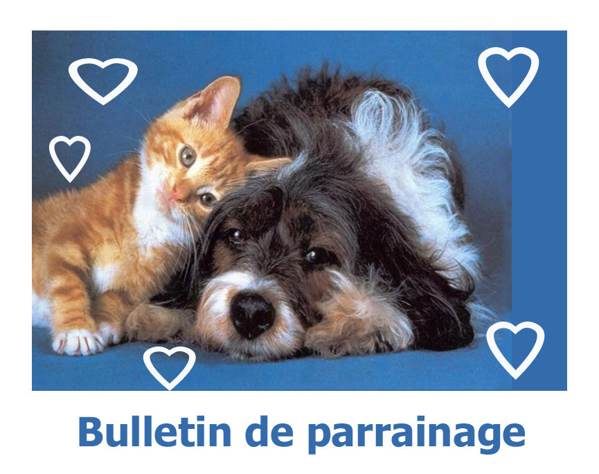 bulletin à imprimer