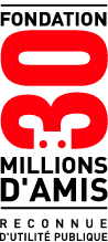 logo30md.gif