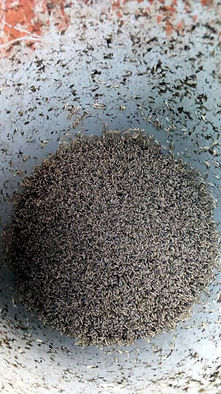 fish-meal-1502827609-3220927.jpeg