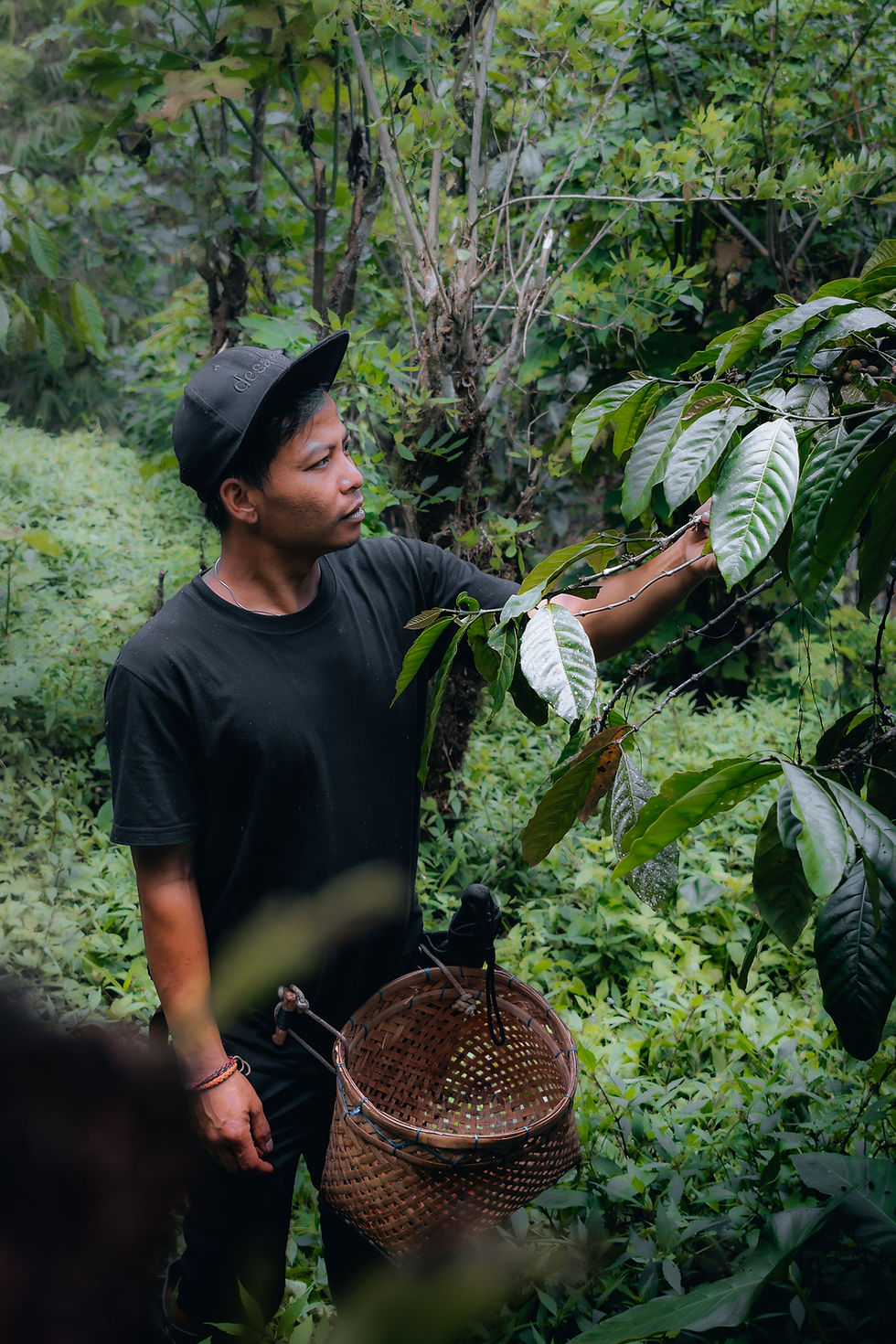 Buying Spices in Munduk: What Travels and What Does Not