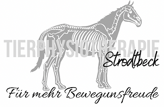 Tierphysiotherapie 2.PNG