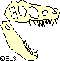 A chomping Tyrranosauridae