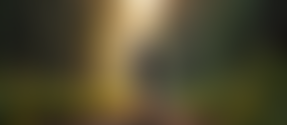 Effective Cardio Workouts for Amazing Fitness