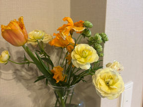 新年度の始まり