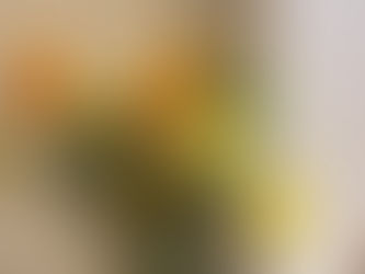 新年度の始まり