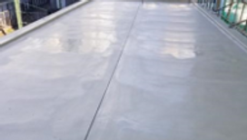 Discover Park (D-Park)