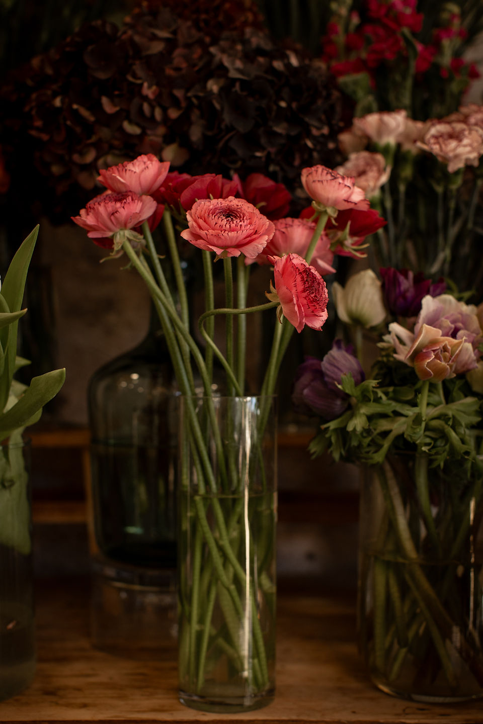 fleurs de saison