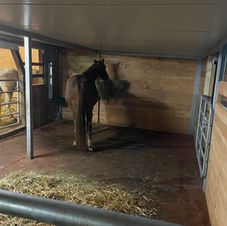 Stall November 2021 8.jpg