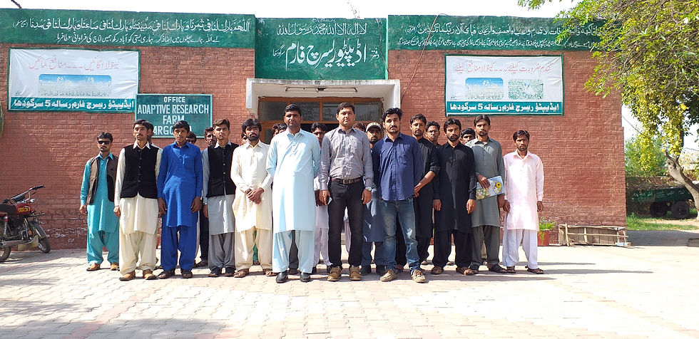 Study Tour-2019