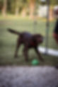 DSC04541.jpg