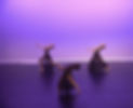 thumbnail_IMG_1963- Contemporary_edited.jpg