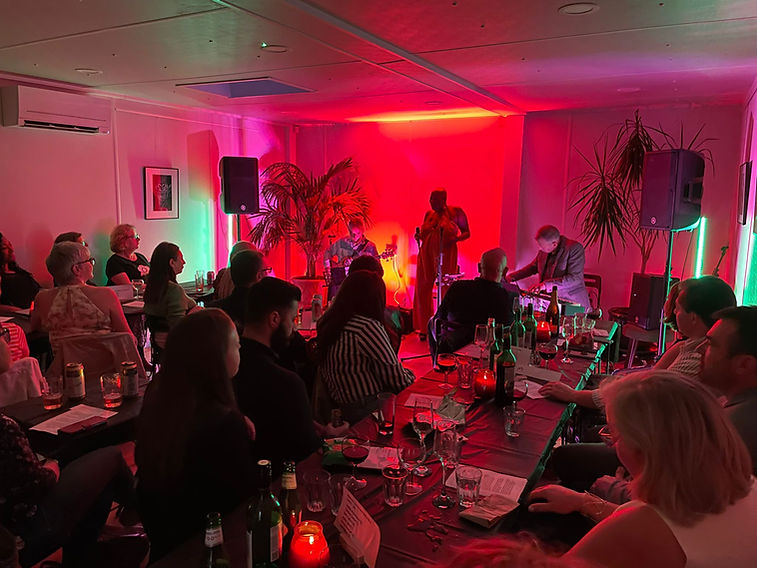 janine gig.jpg