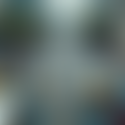 Building Wealth Through Disciplined Transportation Solutions