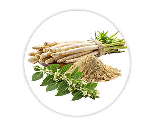 Plan de travail 2.jpg