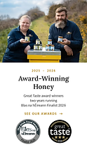 awards-strip-photo-mobile-800x1360.png